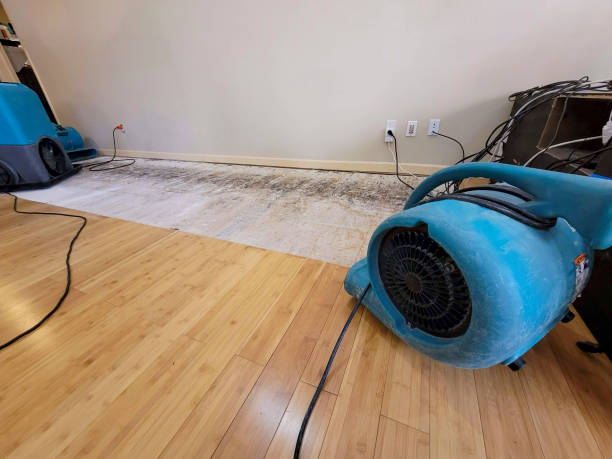 Professional Basement Flood Cleanup technician working in West Babylon, NY